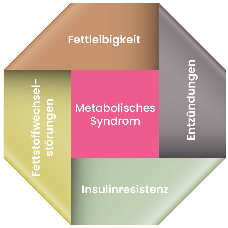 metabolic syndrom